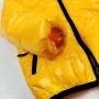 Куртка демі на синтепоні Лак (жовт)