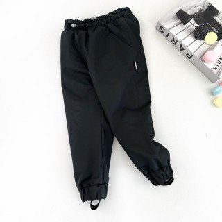 Штани демі мембрана на мікрофлісі 01242 (чорн)