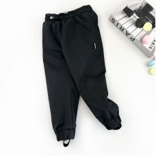 Штани демі на мікрофлісі 08237 (чорн)