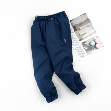 Штани демі на мікрофлісі сині