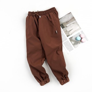 Штаны деми на микрофлисе коричневые