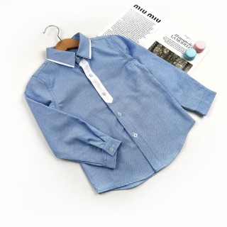 Сорочка Планка блакитно-біла