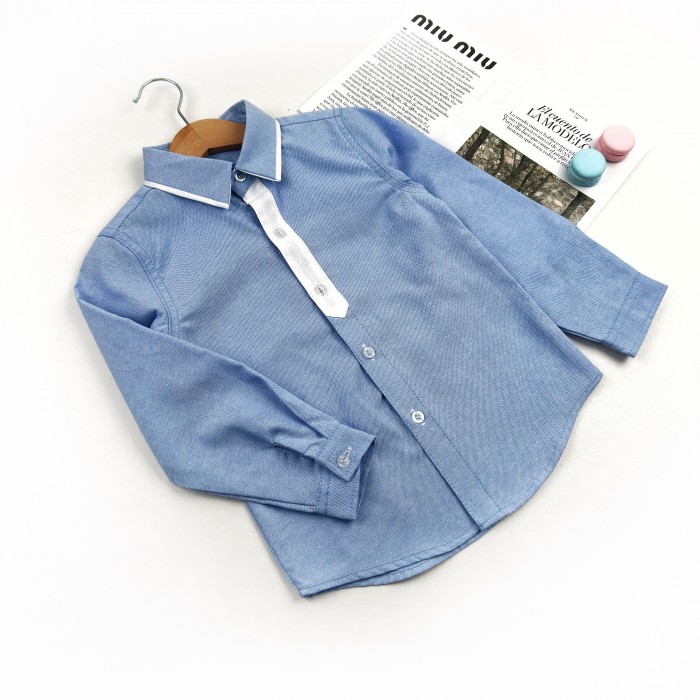 Сорочка Планка блакитно-біла