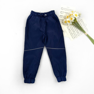 Штаны деми на нейлоне темно синие