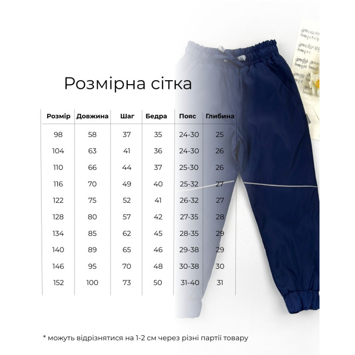 Штаны деми на нейлоне темно синие