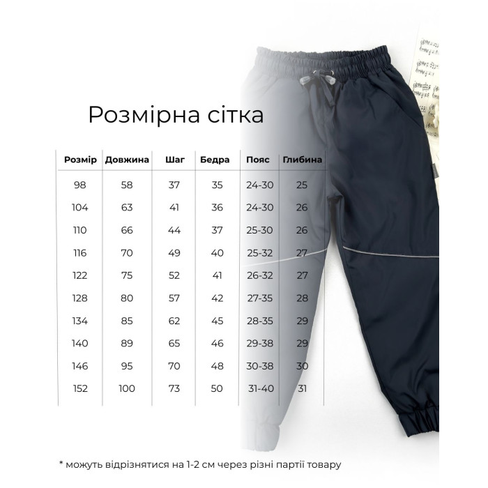 Штаны деми на нейлоне темно серые