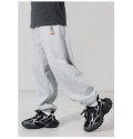 Спортивні штани Скейтер світло-сірі