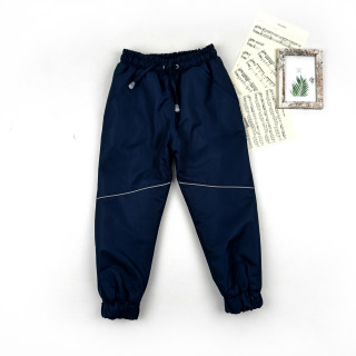 Штаны на мембране, полностью утепленные микрофлисом темно синие