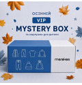 Осінній VIP-Box для хлопчика